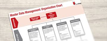 Master Data Management Org Chart Template Opsdog
