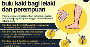 Maybe you would like to learn more about one of these? Hukum Mencukur Bulu Kaki Bagi Lelaki Dan Perempuan Layanlah Berita Terkini Tips Berguna Maklumat