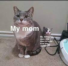 I Love My Mom Meme By Neocypher Memedroid