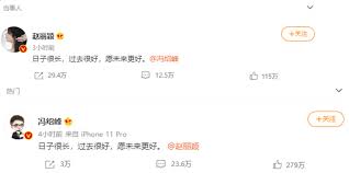 Feng rose to fame with the hit time travel series palace (2011). 104slt0byh L3m