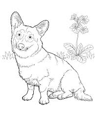 Search through 623,989 free printable colorings at getcolorings. Pin On Favorite Dog Colouring Pages