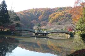 「薬師池公園」の画像検索結果