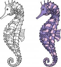You can use our amazing online tool to color and edit the following seahorse coloring pages for adults. Seahorses Coloring Page Kidspressmagazine Com