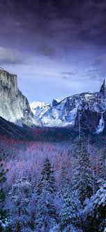 Check spelling or type a new query. Winter Wallpaper Pack For Ipad Iphone And Desktop