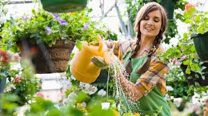 Verschiedene blumen und pflanzen im garten brauchen unterschiedlich viel wasser. Menge Methode Material Wie Wassere Ich Bei Hitze Meine Pflanzen Leben Wissen Bild De