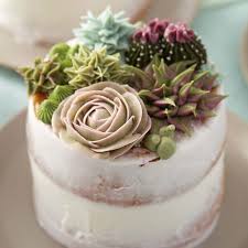 Stunning Succulent Cakes Recipe Succulent Cake Cake Dessert Decoration