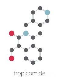 Image result for Mydriatic