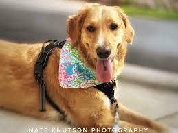 Entertainment for Aged Care Facilities through Music