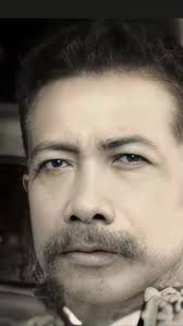 Sejarah Keraton Sambaliung: Sultan Muhammad Aminuddin