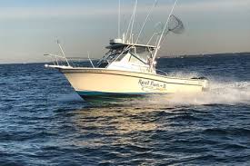 Image result for Bianco 1988 Fleet