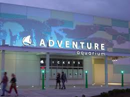 Adventure Aquarium In Camden Nj Class Trip Jersey Girl New Jersey