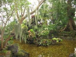 Shanghai chenshan botanical garden conserves nearly 15,000 types of plants in about 30 theme parks and plant zones. Shanghai Inside Gross Grosser Botanischer Garten
