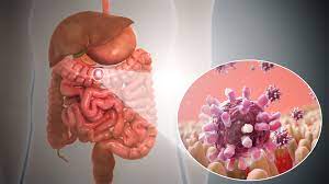 Close contact with an infected person or animal Gastroenteritis Stomach Flu Paras Hospitals Gurgaon