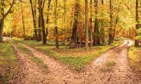 Frost and thomas were fond of hiking together, and thomas often had trouble making up his mind which trail they should follow. The Poetry Of Robert Frost The Road Not Taken English With A Smile