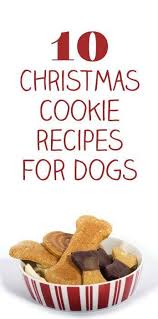 10 Christmas Cookie Recipes For Dogs Homemade Dog Treats Christmas Cookie Dog Dogs Homemade Recipes Treats Ev Yapimi Kopek Mamasi Yemek Tarifleri