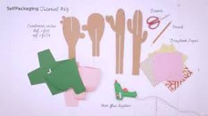 Debido a las condiciones extremas en las que han crecido, tienen la característica de existen incluso cactus con hojas, por ejemplo, la pereskia, que en etapas avanzadas de maduración se asemeja al naranjo. Como Hacer Un Cactus De Carton Diy Youtube