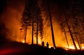 Los seres humanos causan la mayoría de los incendios forestales. Eeuu Bomberos Logran Avances En La Lucha Contra Incendios Independent Espanol