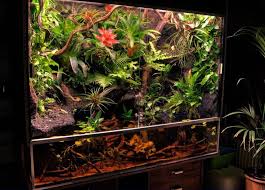 Pin Pa Paludarium