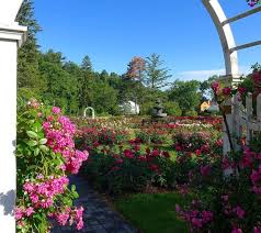 Central Park Rose Garden W Morse Blvd Winter Park Fl 32789 407 599 3334 Estimated Driving Distance 16 Minu Shade Garden Winter Park Small Space Gardening