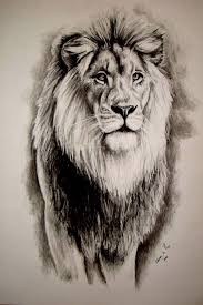 Lion Charcoal On Paper Artist Ellenor Hastie Facebook Sold Lion Sketch Lion Tattoo Lion Head Tattoos