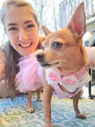 Celebrating Happy Dog Mama Day with Quinnie and her family