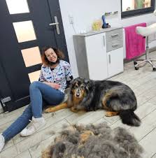Jule's Hundesalon