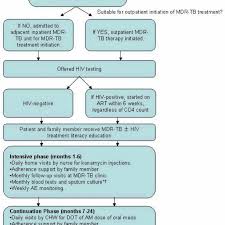 Flow Chart Of Patient Care In The New Mdr Tb Program
