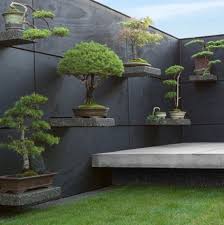 What A Great Idea A Few Display Shelves To Put My Bonsai Trees On Ngoai Trời Sống Ngoai Trời Y Tưởng Về Vườn