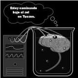 Resultado de imagen para MATRIX.