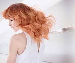 Color Touch Plus Hair Color Wella Professionals