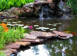 Pool landscape design park landscape urban landscape landscape stairs water architecture urban architecture modern water feature diy garden fountains cascade water. Pro Scapes Water Feature Services Pro Scapes Landscape Development And Mantenance