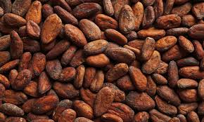 They can also be used as a fuel source for minefactory reloaded's bio reactor. Chocolate Flavour Is Developed During Processing Of Cocoa Beans
