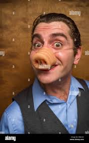 Silly pig man eating lose change for banking greed image Stock Photo