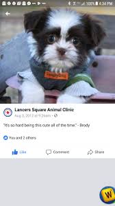 We did not find results for: Baby Brody On His Vet S Fb Page Pet Clinic Animals Vets