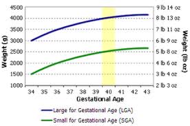 Exhaustive Weight Chart For Twin Pregnancy Weight Gain Chart