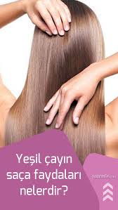 Yesil Cayin Saca Faydalari Nelerdir Yesil Cay Cilt Maskesi Tarifi Sac Yesil Cay Yesil