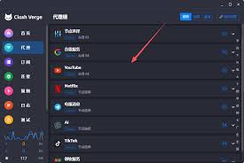 Clash Verge进阶玩法，解决泄漏真实IP的问题- Clash Verge Rev ...