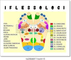 Scientific Reflectology Chart Bok Event Center