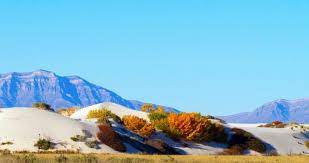 Visitors can also experience bat tours, trips to specific caves, and walks through the outlandish geological formations. 25 Best Places To Visit In New Mexico