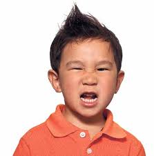 Say goodnight to the bite