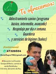 Explore Our Services