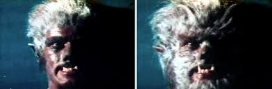 Film Review: Werewolf Of Washington (1973) | HNN
