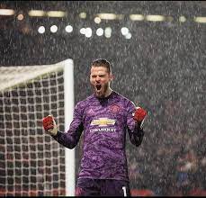 Since joining 'manchester united' in 2011, he has appeared in three hundred matches for his team and has played. 13 Facts About David De Gea Lifestyle Girlfriend Childhood Car Career Networth Etc