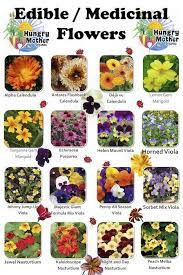 How To Enjoy Edible Flowers Teleflora Blog Edible Flowers Recipes List Of Edible Flowers Flower Food