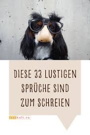 Diese 33 Lustigen Spruche Sind Zum Schreien Lustige Spruche Witzige Spruche Witzig