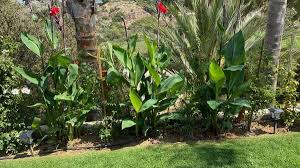 We hope you always find here something special and delightful for you. Nurserymen In San Marcos Ca San Marcos Ca Nurserymen Mapquest