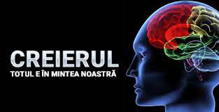 Cu toate acestea, in ziua de azi, nu stim inca mare lucru despre functionalitatea acestuia. Creierul Totul E In Mintea NoastrÄƒ Filmedocumentare Com