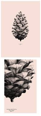 Pin By Penrith Eckersleys On Disegni A Matita Biro Drawing Art Biro Art