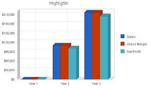 Regional Airline Business Plan Sample Executive Summary