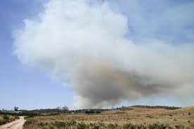 Fogos de monchique em 2016 e 2018 reduziram medronho em 50%. Incendios Fogo No Algarve Mantem Se Dominado Mas Dispositivo Segue No Terreno Atualidade Sapo 24